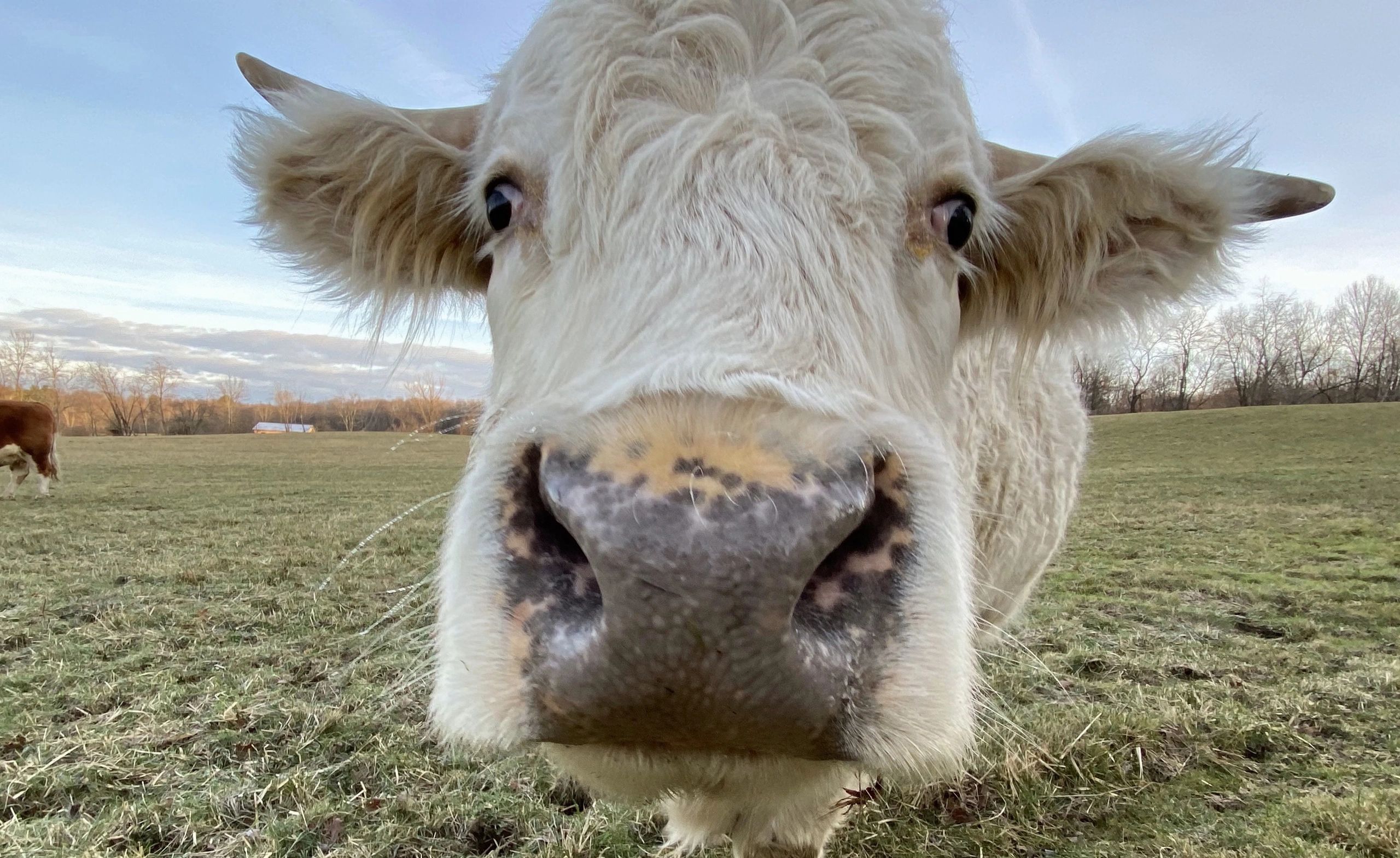 Otter Creek Farm Sanctuary, Inc.